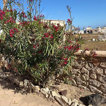 Prázdninový dům Roxys Sea View Santorini Monolithos *